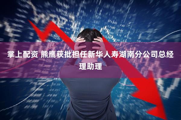 掌上配资 熊鹰获批担任新华人寿湖南分公司总经理助理