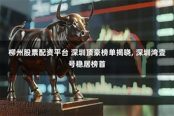 柳州股票配资平台 深圳顶豪榜单揭晓, 深圳湾壹号稳居榜首