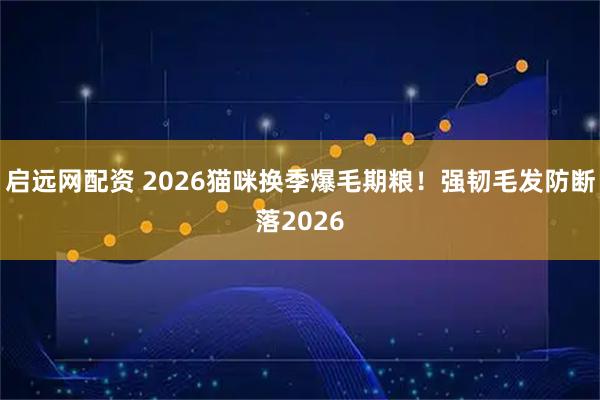 启远网配资 2026猫咪换季爆毛期粮！强韧毛发防断落2026