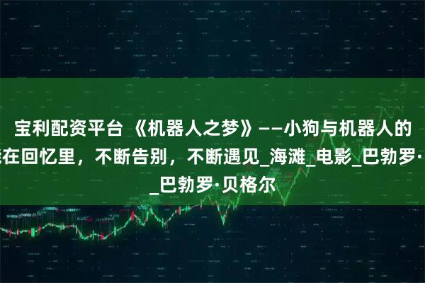 宝利配资平台 《机器人之梦》——小狗与机器人的爱只能在回忆里，不断告别，不断遇见_海滩_电影_巴勃罗·贝格尔